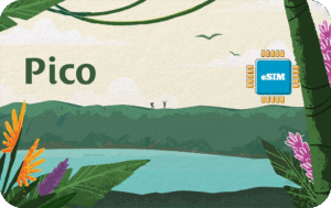 Pico 1 GB – 7 Days
