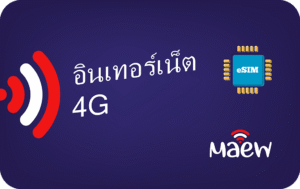 Maew Unlimited – 10 Days